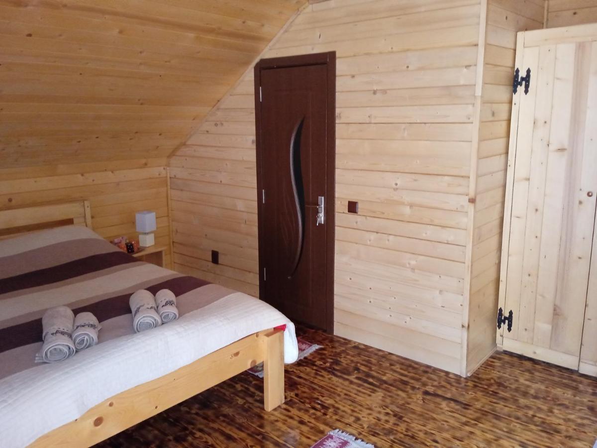 Cabana Alpha Baia Mare Exterior photo