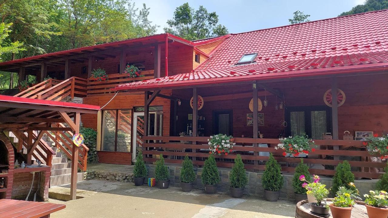 Cabana Alpha Baia Mare Exterior photo