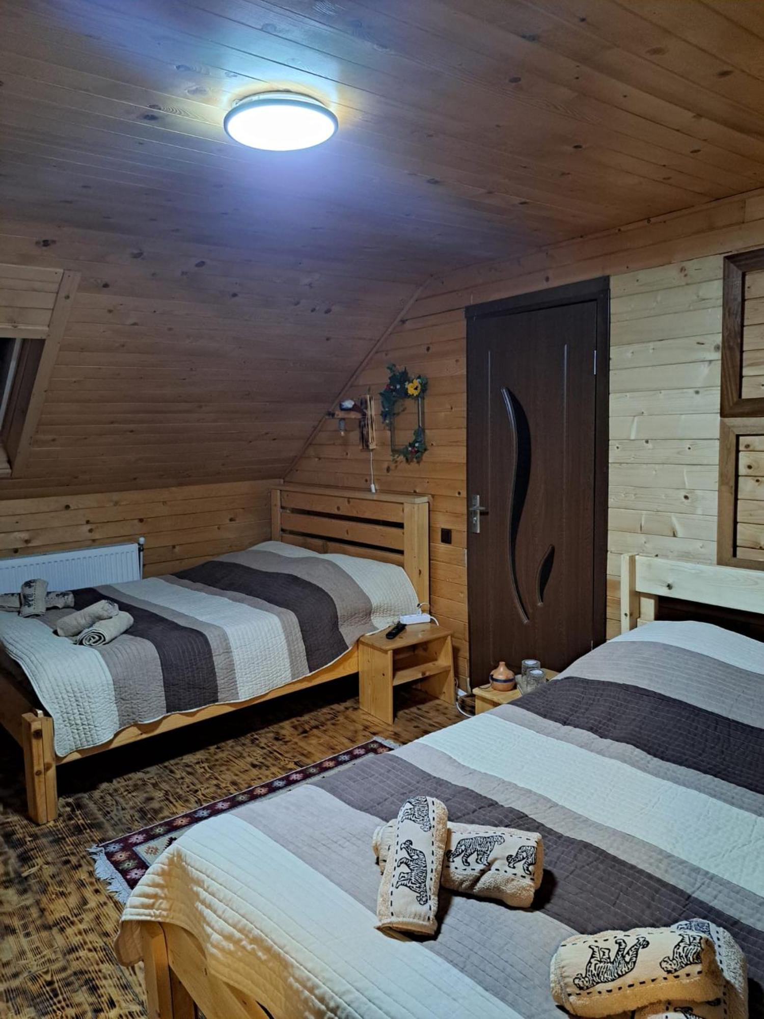 Cabana Alpha Baia Mare Exterior photo